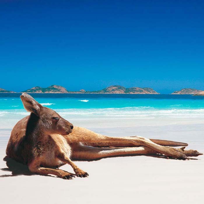 Scoli Boarding in Australia