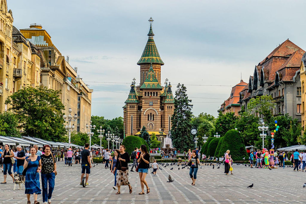 Pharmacy - Victor Babeș University of Medicine and Pharmacy - Timișoara, Romania