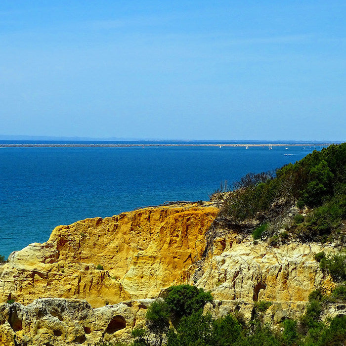 Trimestru liceu in Spania