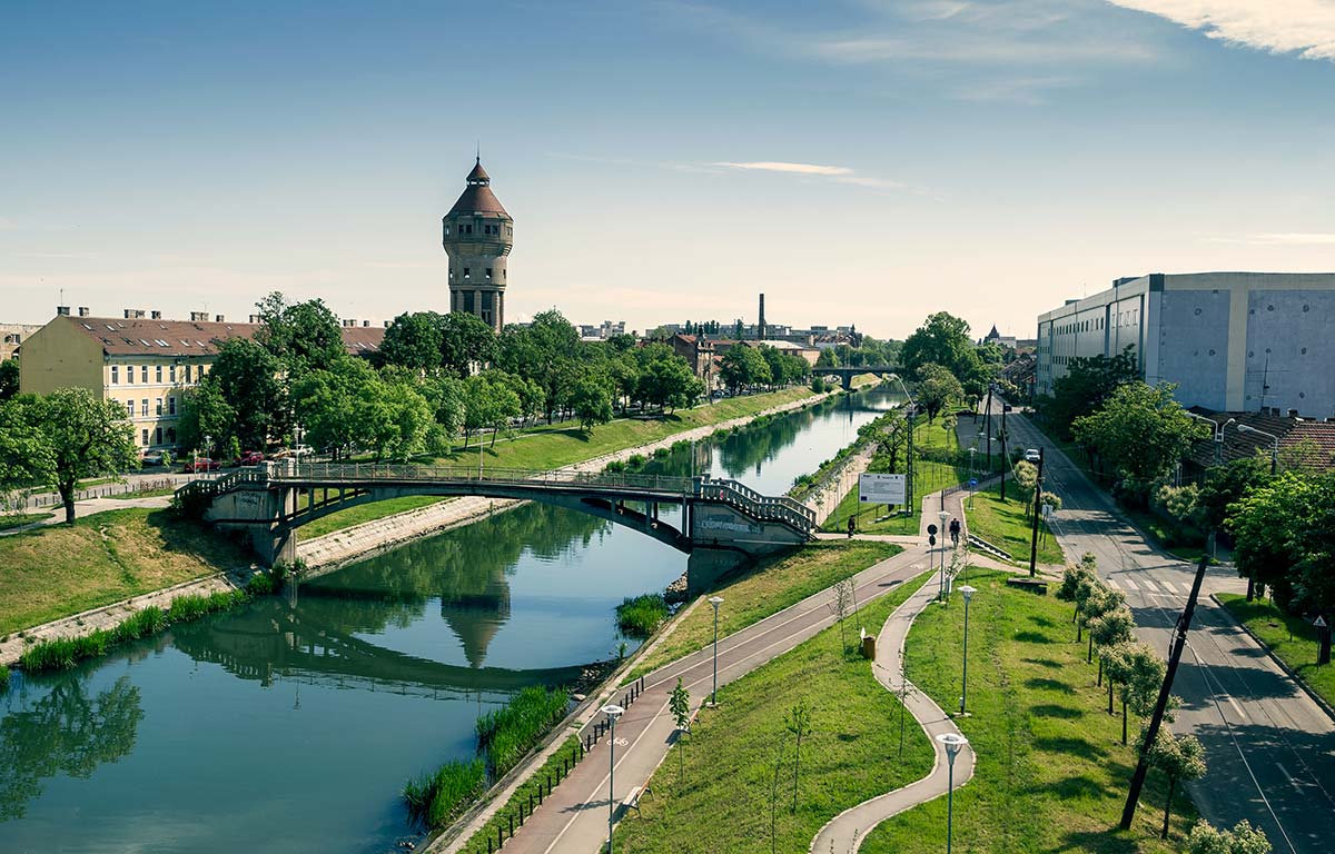 Dentistry - Victor Babeș University of Medicine and Pharmacy - Timișoara, Romania