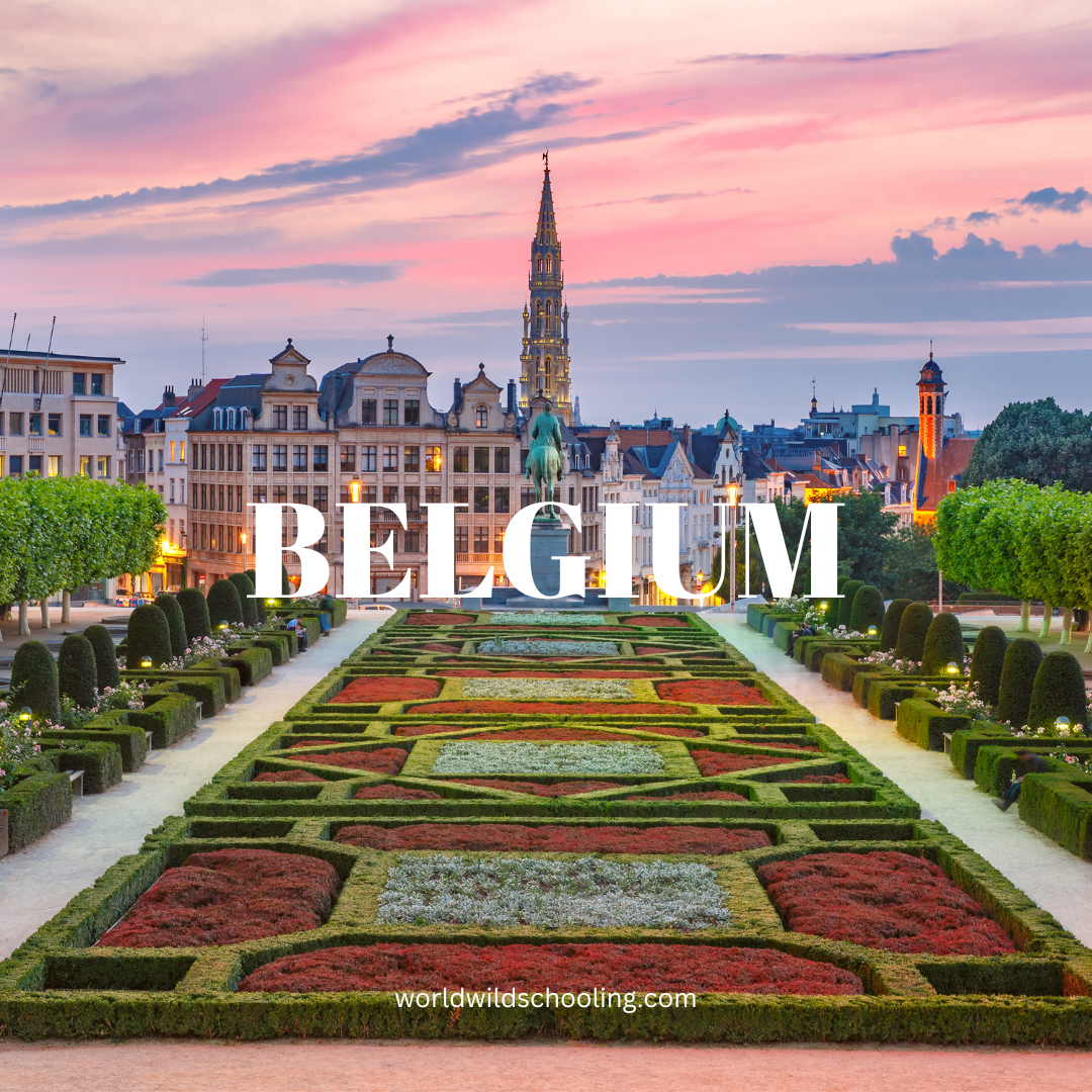 Semestru de liceu in Belgia