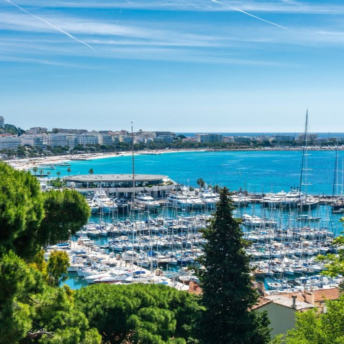 Cursuri Franceza (18 - 65 ani) - Antibes - Franta