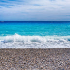 Cursuri Franceza (18 - 65 ani) - Antibes - Franta