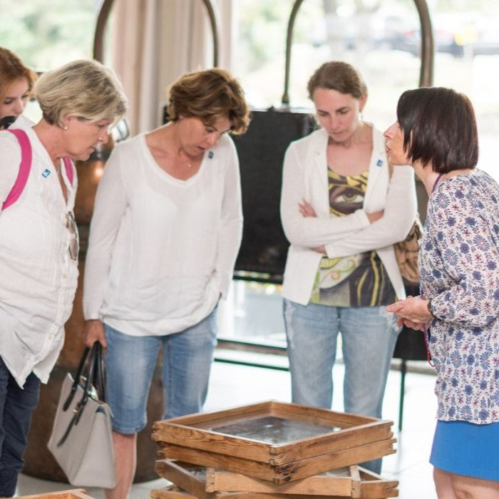 Cursuri Franceza (18 - 65 ani) - Antibes - Franta