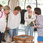 Cursuri Franceza (18 - 65 ani) - Antibes - Franta