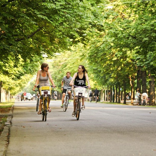 Cursuri germana adulti, Viena, Austria, IVI Romania 11