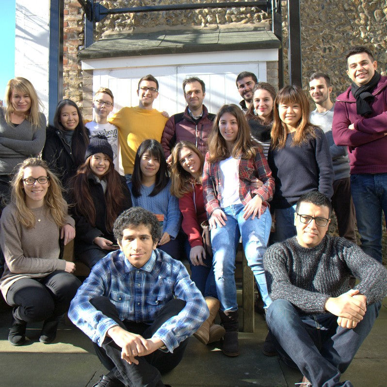 Cursuri engleza adulti Marea Britanie, Bury St Edmunds, IVI Romania 5