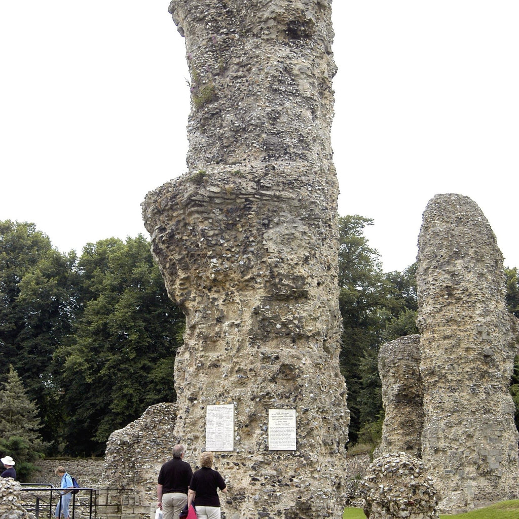 Cursuri engleza adulti Marea Britanie, Bury St Edmunds, IVI Romania 16