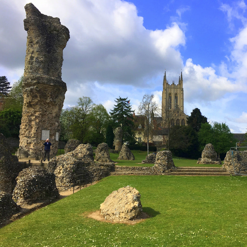 Cursuri engleza adulti Marea Britanie, Bury St Edmunds, IVI Romania 17