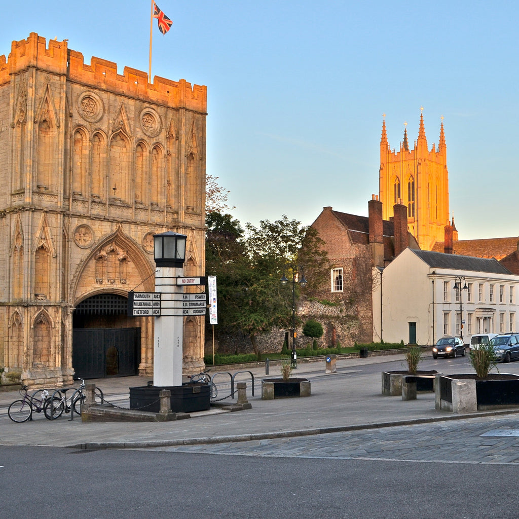 Cursuri engleza adulti Marea Britanie, Bury St Edmunds, IVI Romania 19