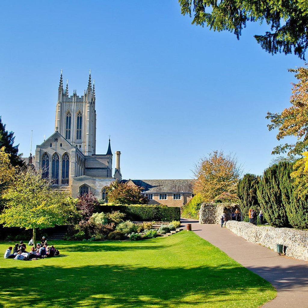 Cursuri engleza adulti Marea Britanie, Bury St Edmunds, IVI Romania 1