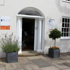 Cursuri engleza adulti Marea Britanie, Bury St Edmunds, IVI Romania 2