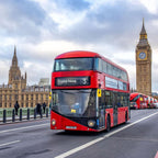 Cursuri limba engleza adulti, Londra, Marea Britanie, IVI Romania 9