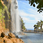 Cursuri limba franceza adulti 18-65 ani, Nisa, Franta, IVI Romania 6