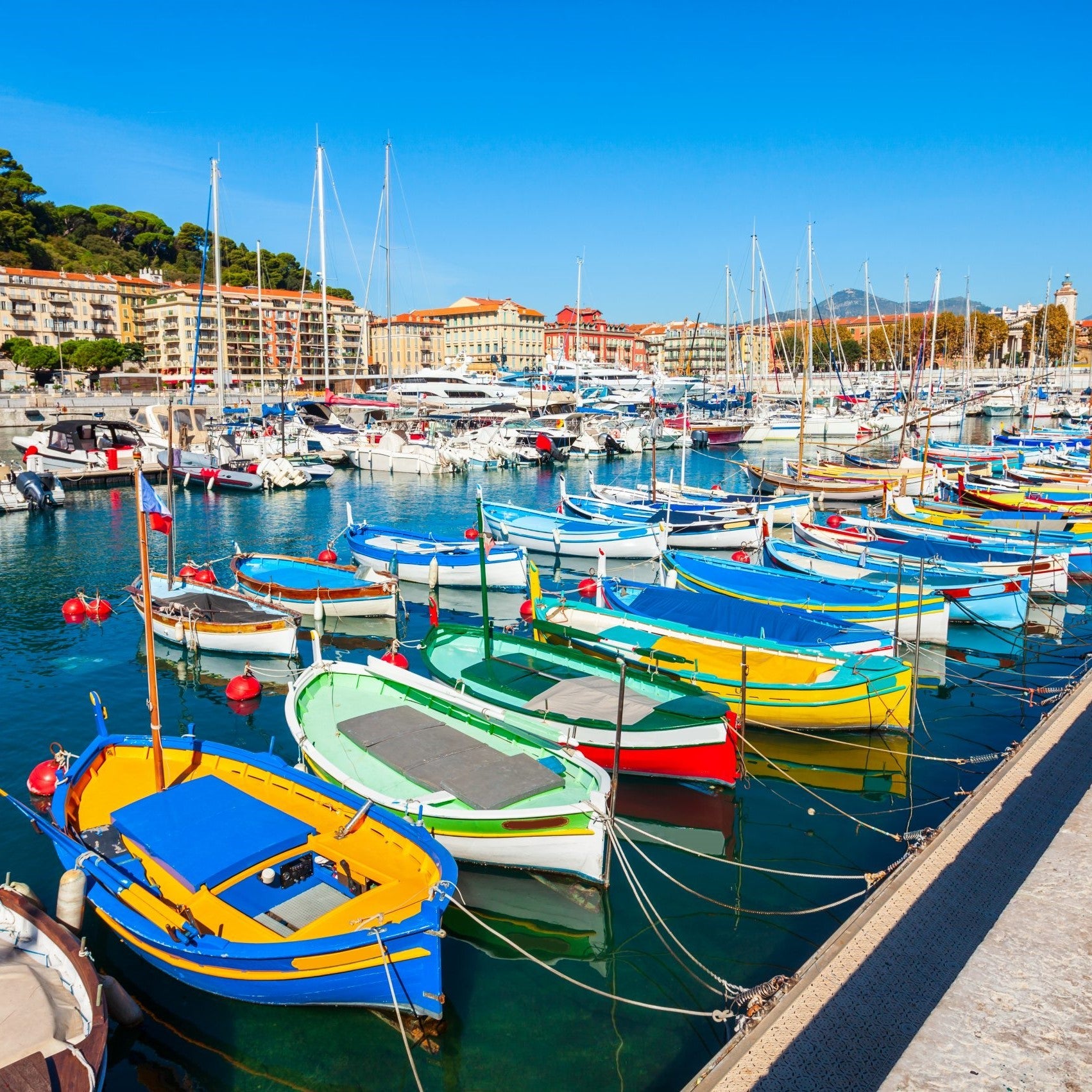 Cursuri limba franceza adulti 18-65 ani, Nisa, Franta, IVI Romania 8