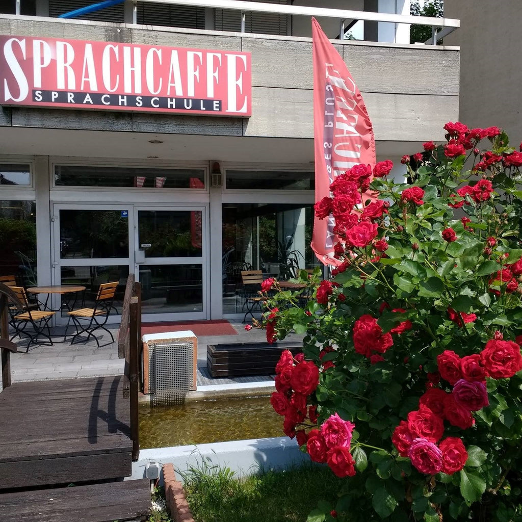 Cursuri limba germana pentru adulti, 18 - 65 ani, in Frankfurt, Germania, IVI Romania 7