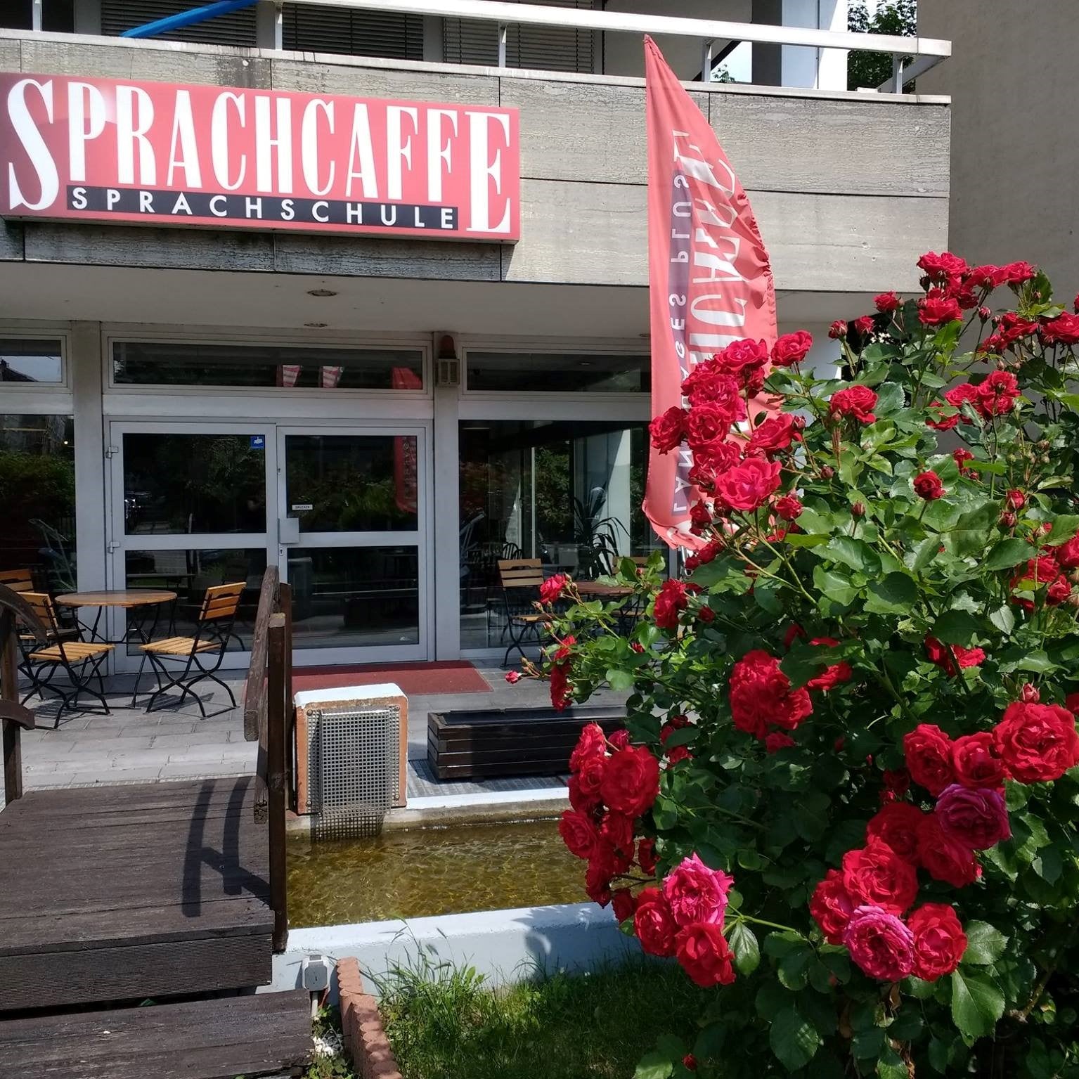 Cursuri limba germana pentru adulti, 18 - 65 ani, in Frankfurt, Germania, IVI Romania 7