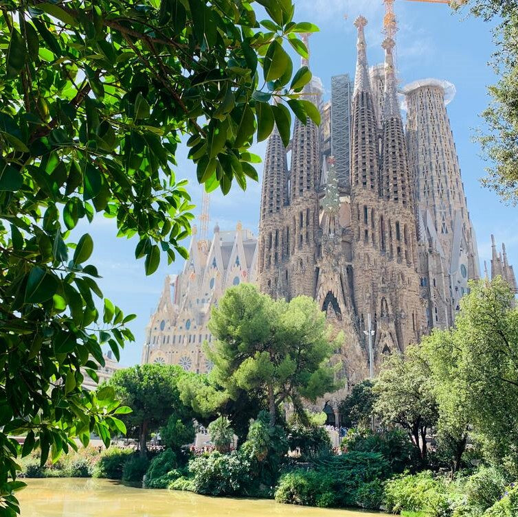 Cursuri limba spaniola adulti 18-65 ani in Barcelona, Spania - IVI Romania 5