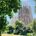 Cursuri limba spaniola adulti 18-65 ani in Barcelona, Spania - IVI Romania 5