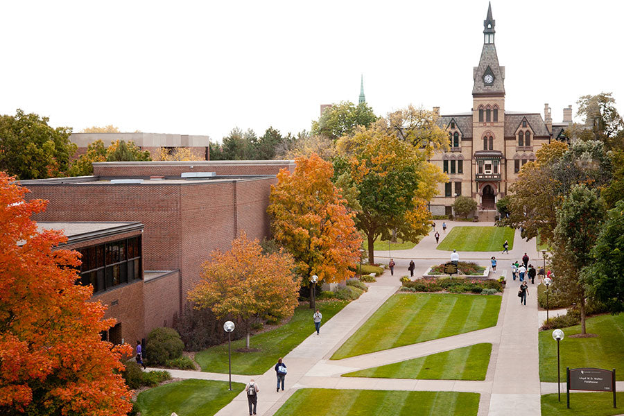 Hamline University College | Scoala boarding Statele Unite