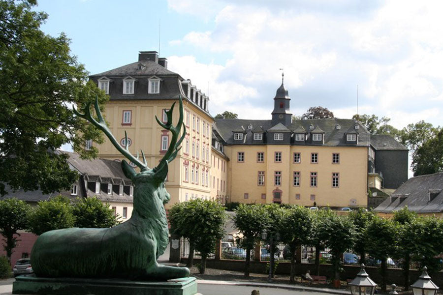 Wittgenstein School Germania scoala boarding Abitur boarding.ro