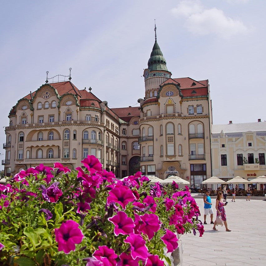 Study Architecture in Romania