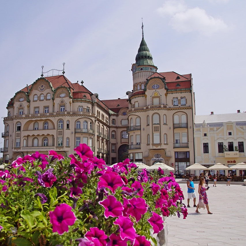 Study Business in Romania