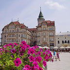 Study Business in Romania