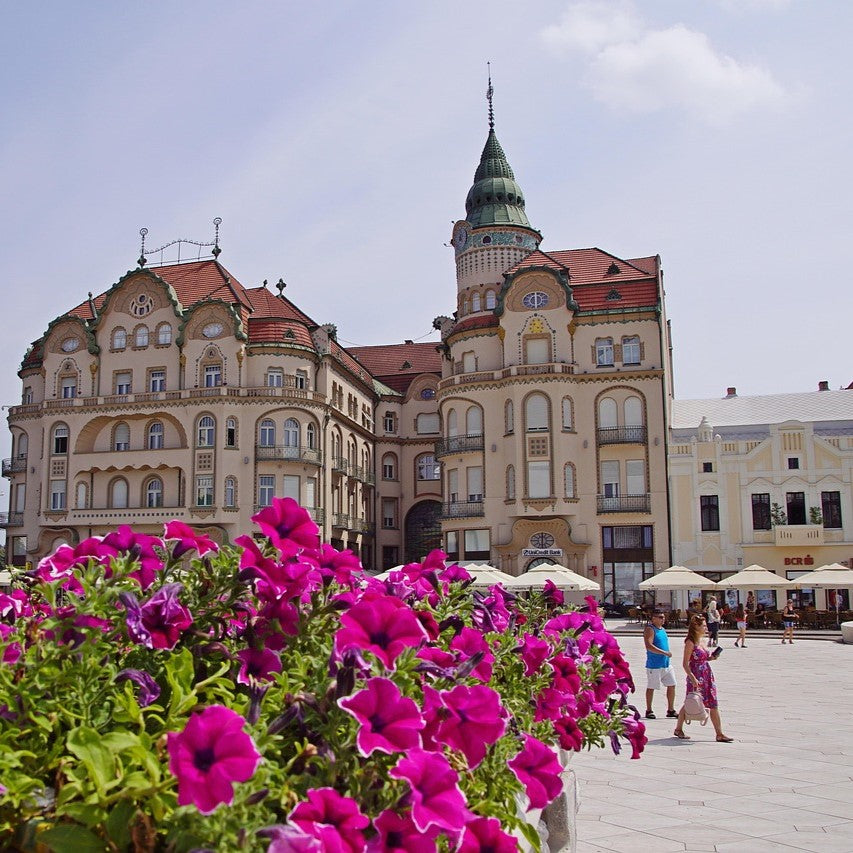 Study Engineering and Technology in Romania