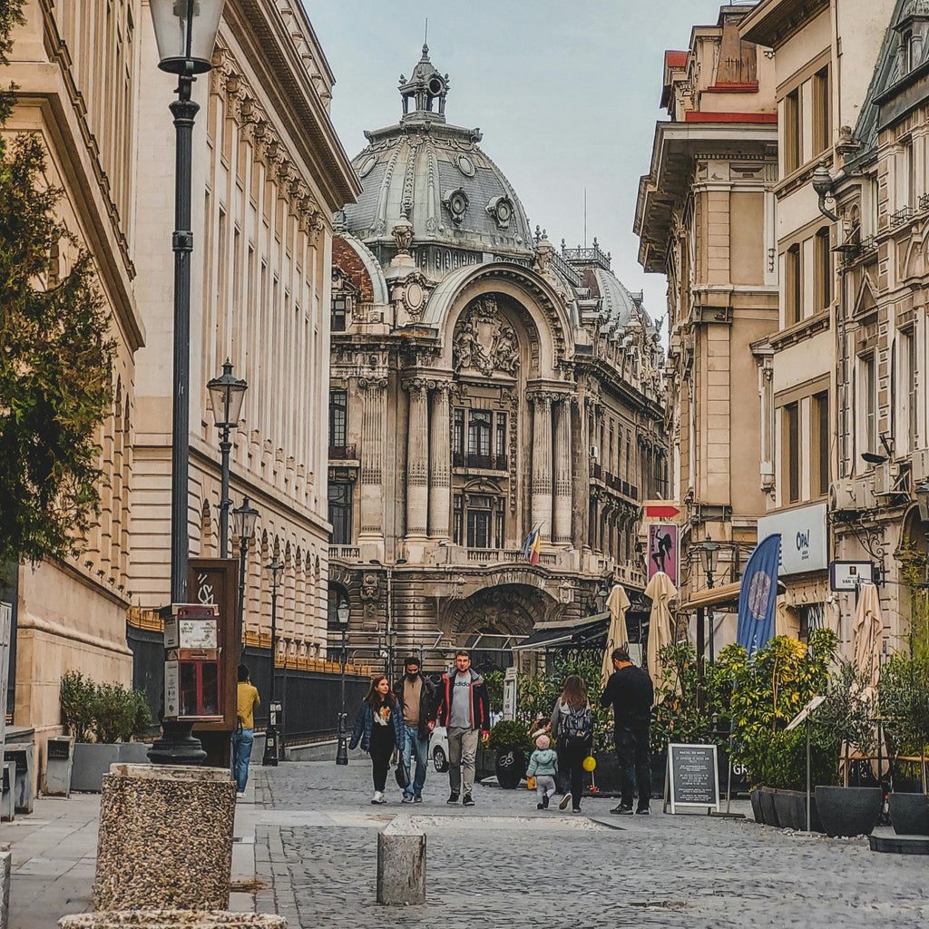 Study Medical Bioengineering (Bachelor’s) in Romania