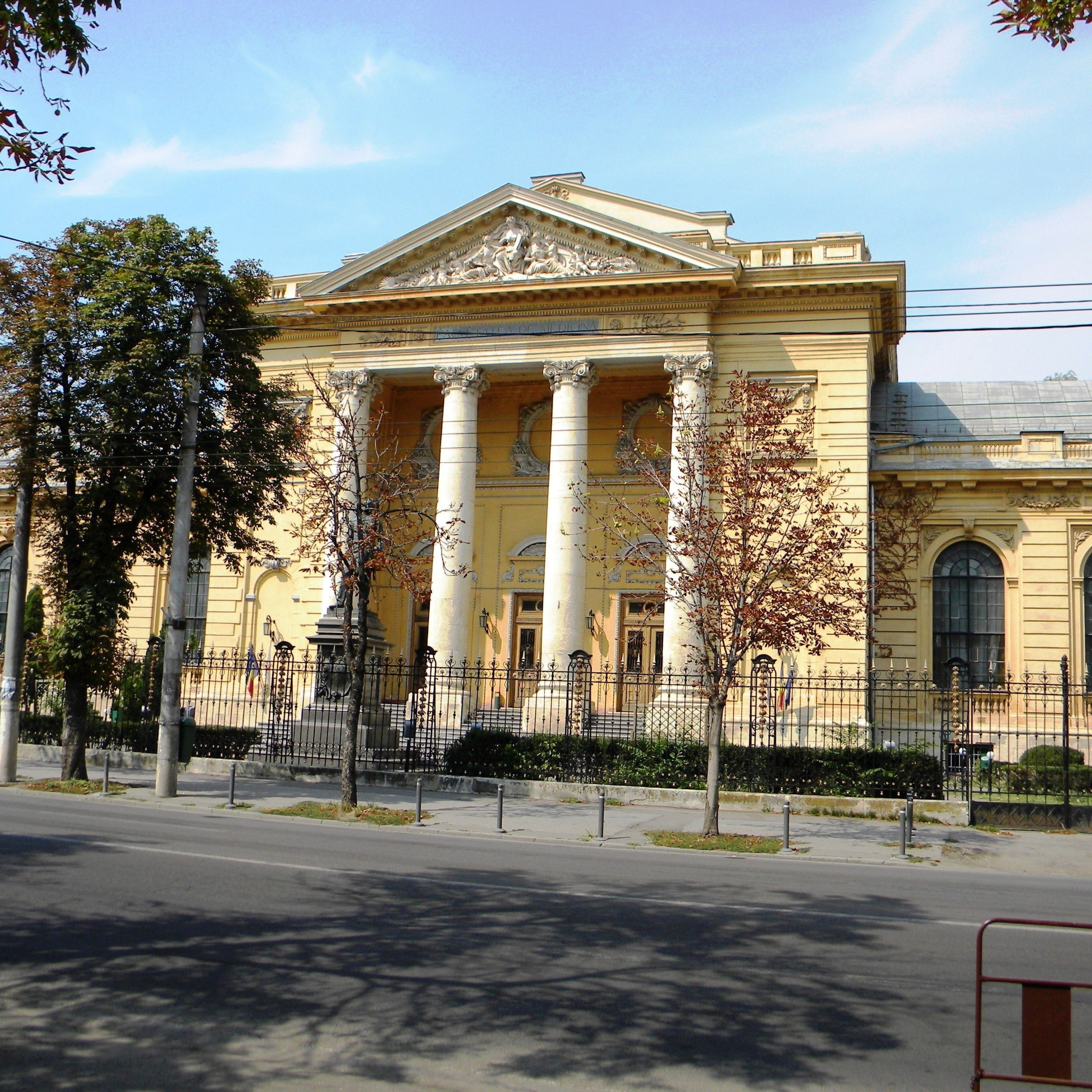 Study Medical Bioengineering (Bachelor’s) in Romania