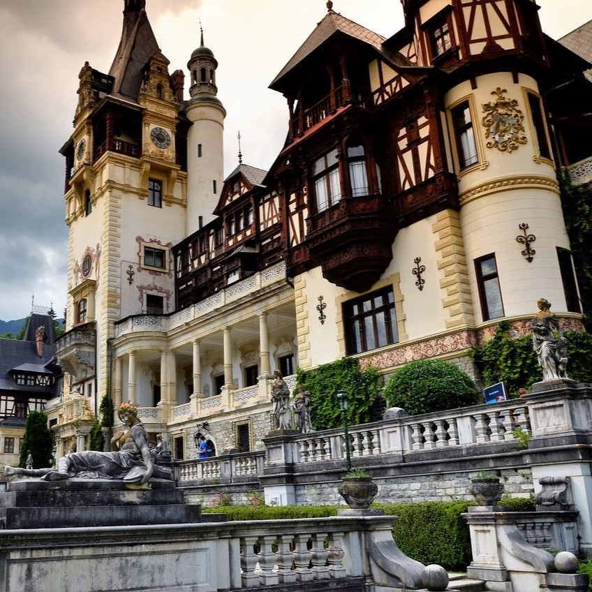 Study Medical Bioengineering (Bachelor’s) in Romania