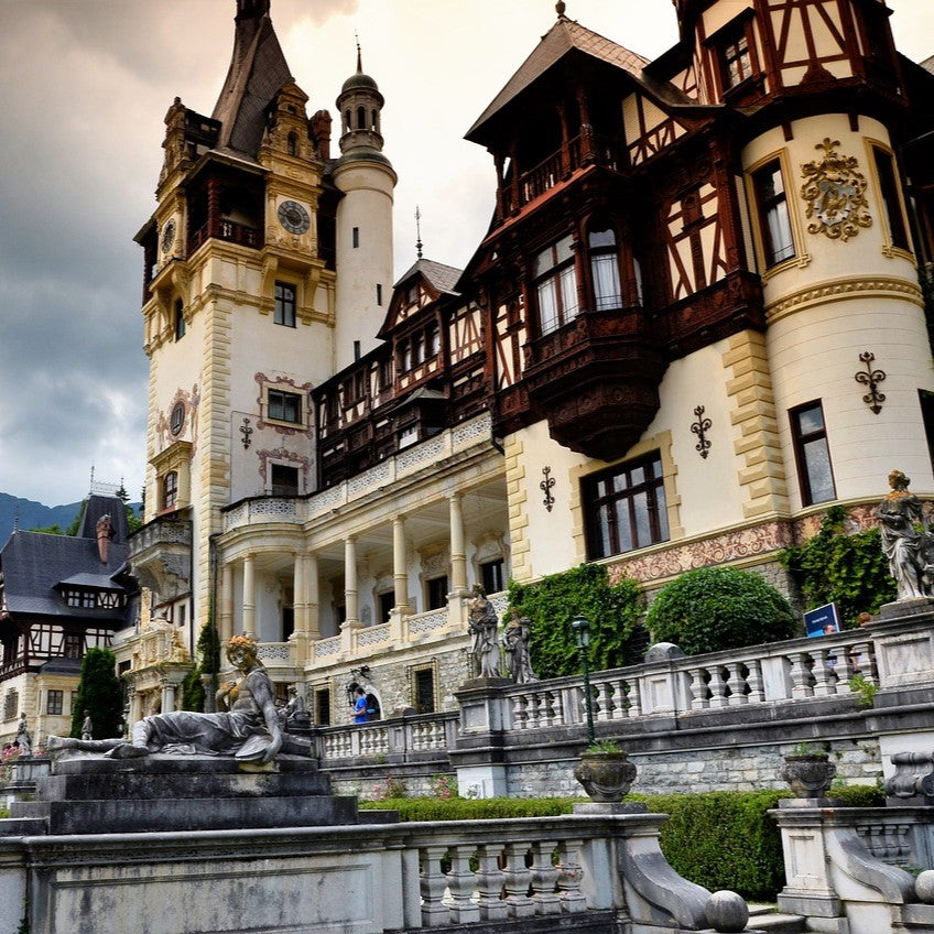 Study Physiotherapy in Romania