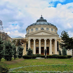 Study Veterinay Medicine in Romania