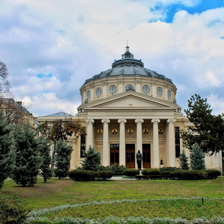 Study Veterinay Medicine in Romania