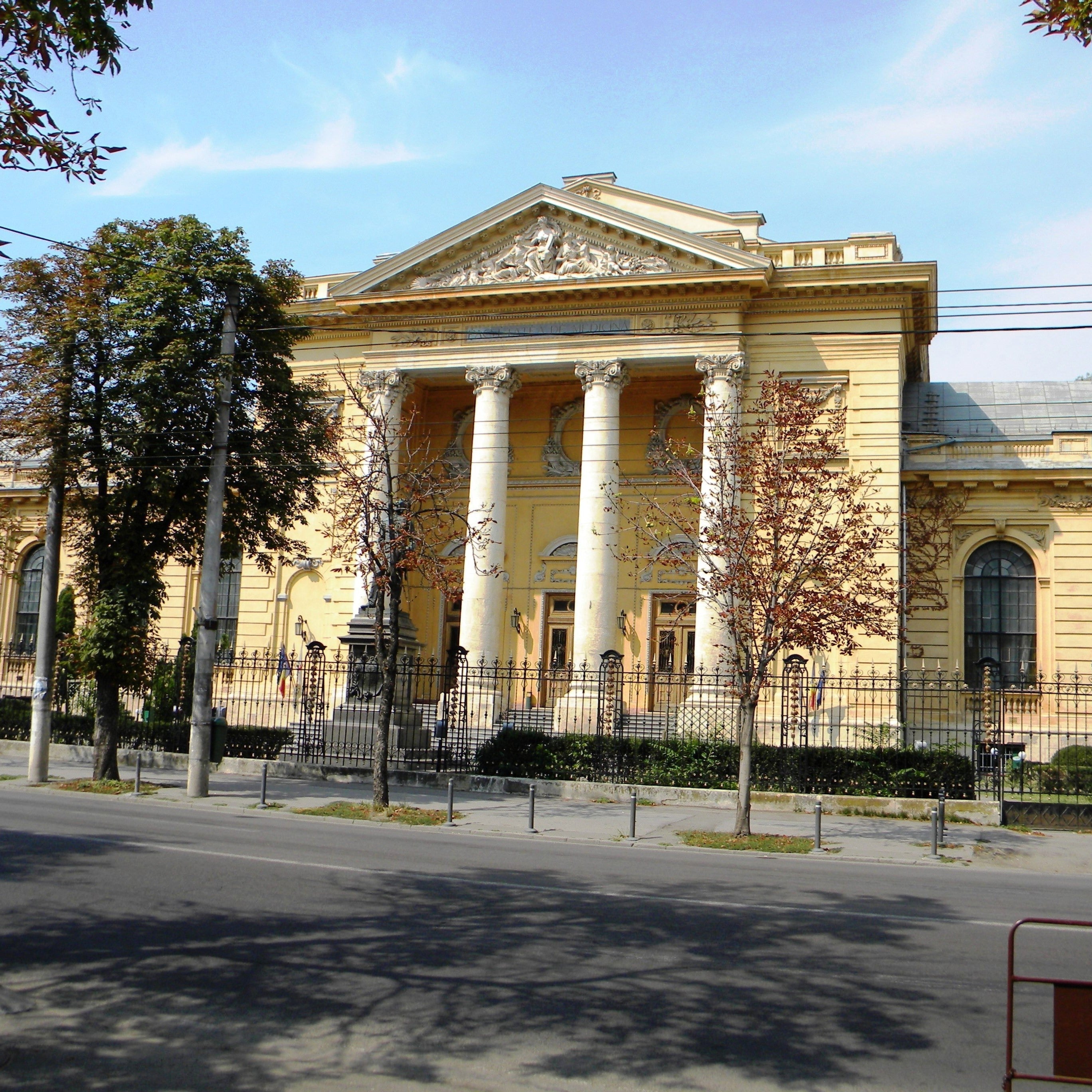 Study Veterinay Medicine in Romania