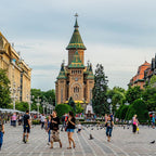 Study Veterinay Medicine in Romania