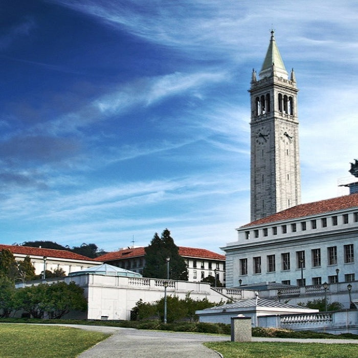 Tabara antreprenoriat 15-18 ani, San Francisco, SUA, IVI Romania 1