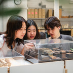 Tabara arhitectura 16-18 ani, Singapore, IVI Romania 6