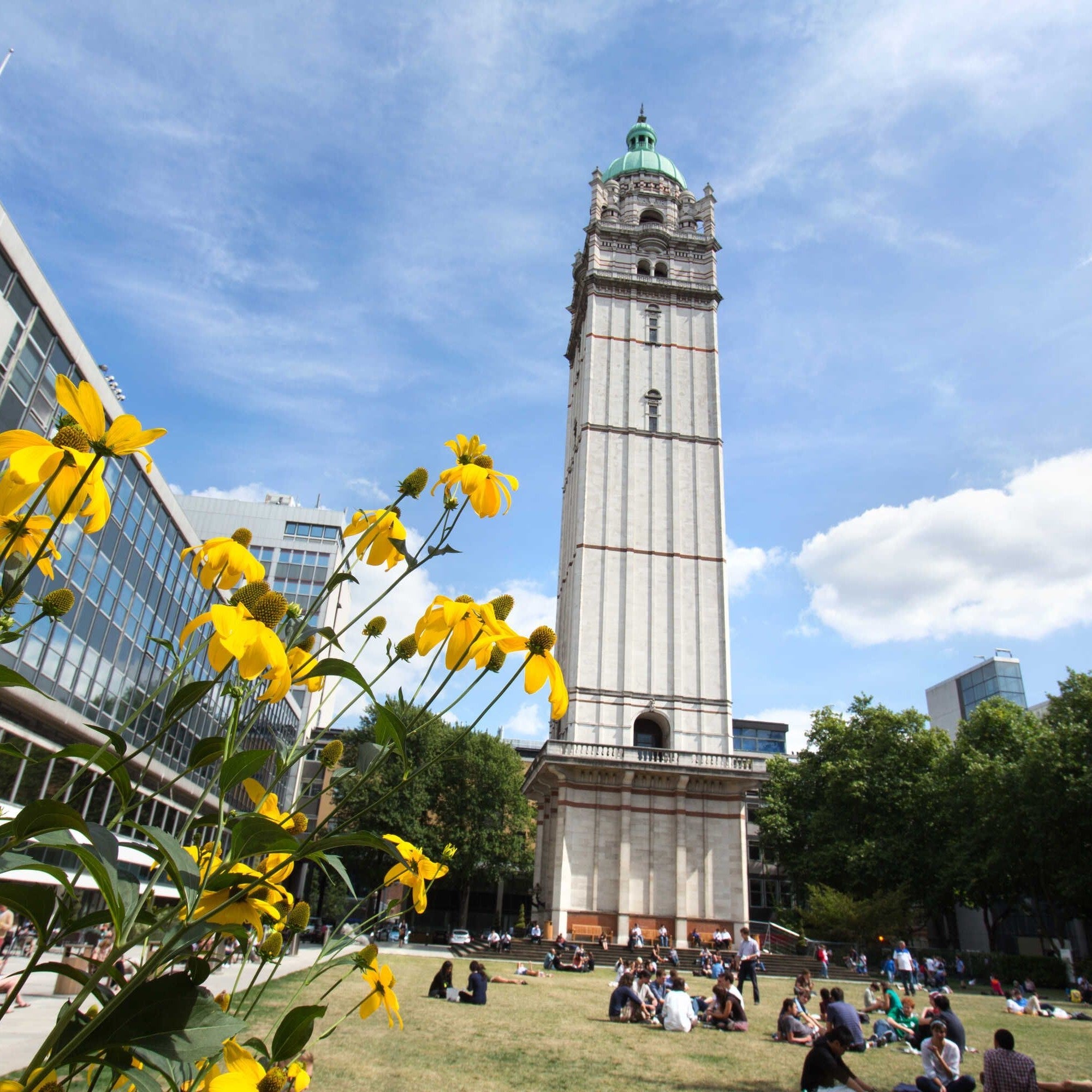Tabara arhitectura si design 16-18 ani, Imperial College Londra, Anglia - IVI Romania 12