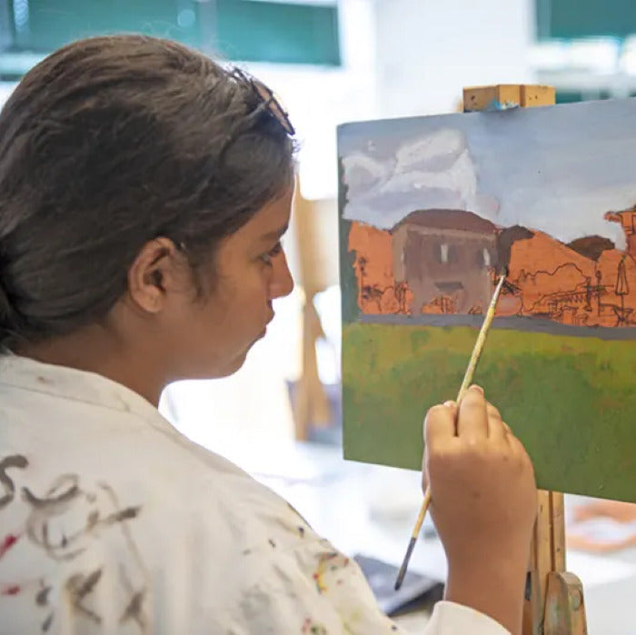 Tabara arta plastica 14-17 ani, TASIS, Elvetia - IVI Romania 2