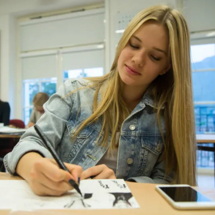 Tabara arta plastica 14-17 ani, TASIS, Elvetia - IVI Romania 3