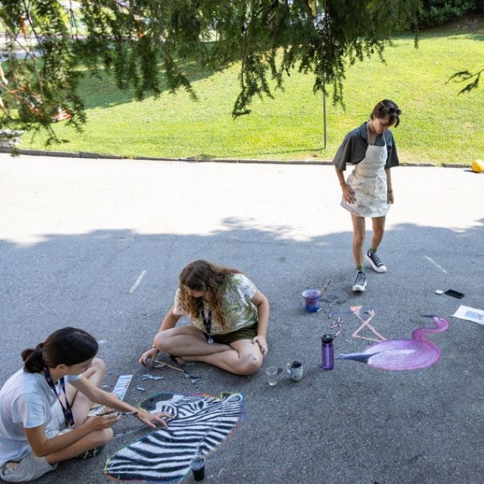 Tabara arta plastica 14-17 ani, TASIS, Elvetia - IVI Romania 5