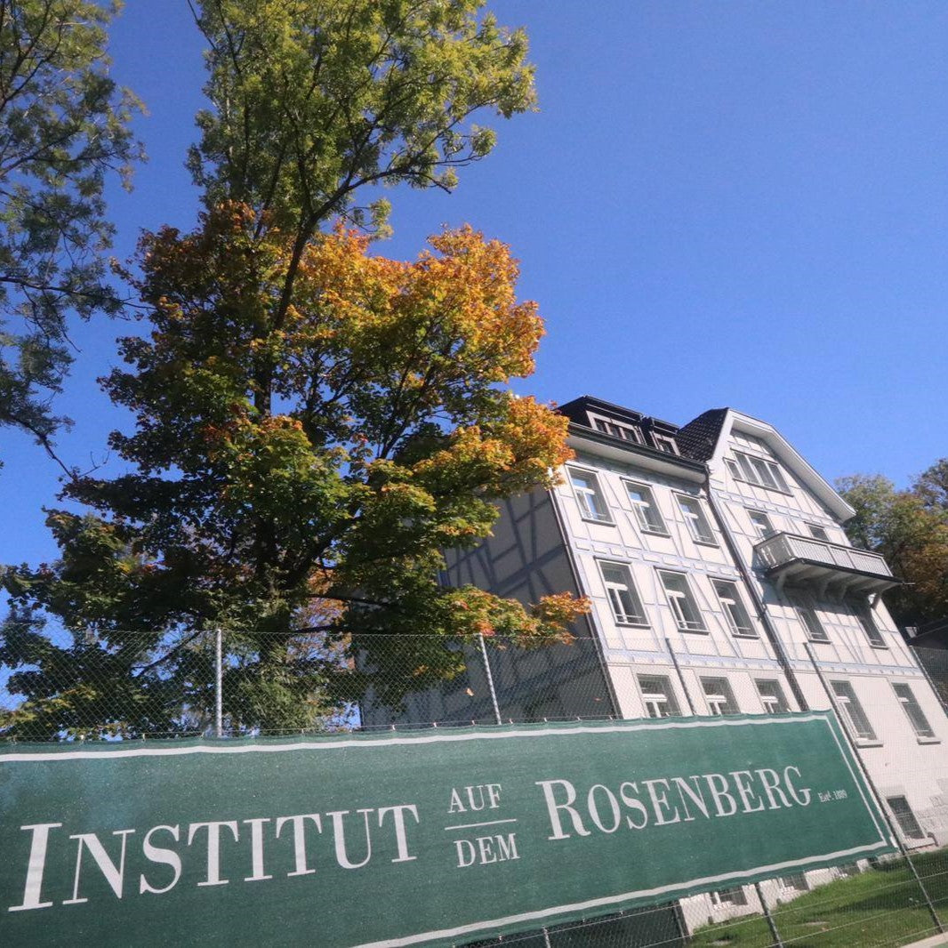 Tabara Artele Spectacolului (6 - 18 ani) - Rosenberg - Elvetia