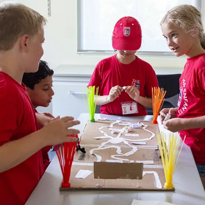 Tabara artele spectacolului 7-10 ani, TASIS, Elvetia - IVI Romania 10