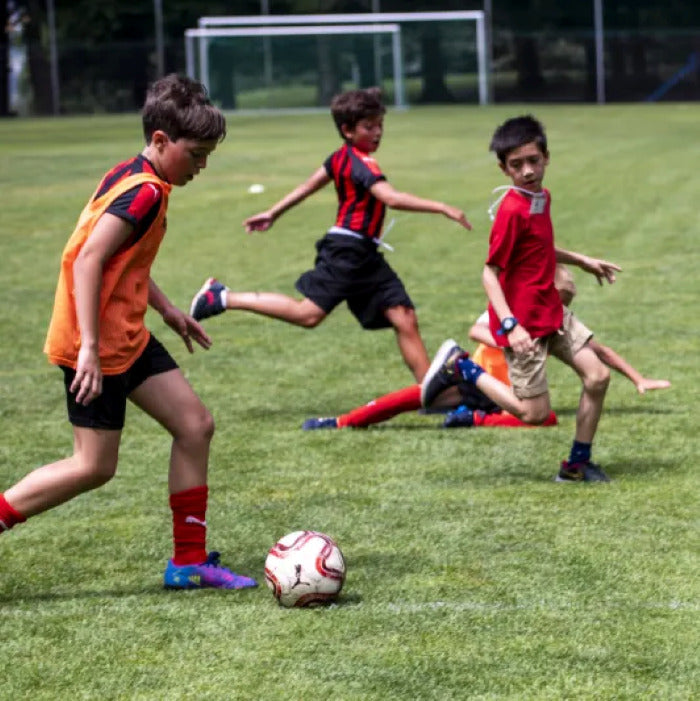 Tabara artele spectacolului 7-10 ani, TASIS, Elvetia - IVI Romania 17