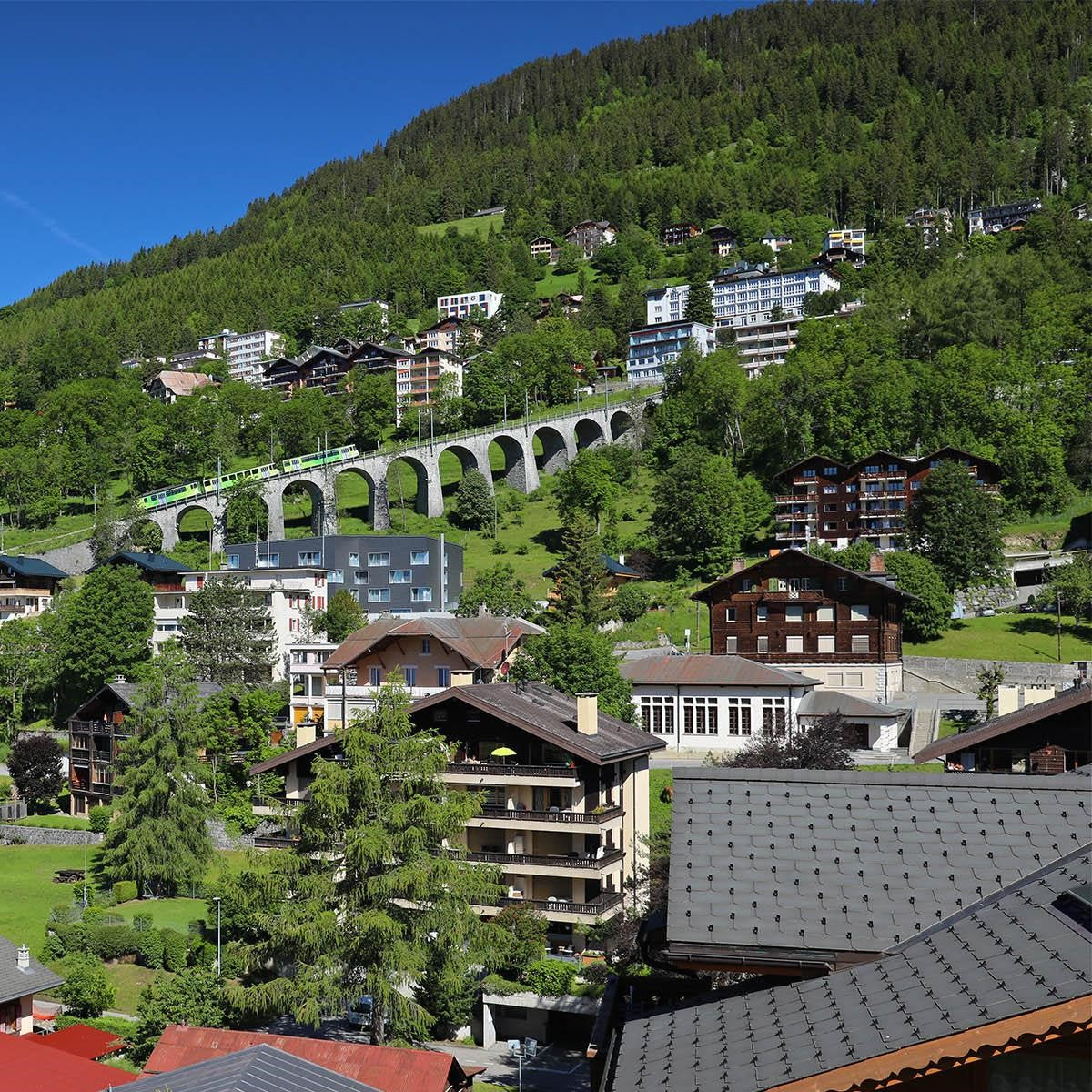 Tabara aventura 7-17 ani, Leysin, Elvetia, IVI Romania 1