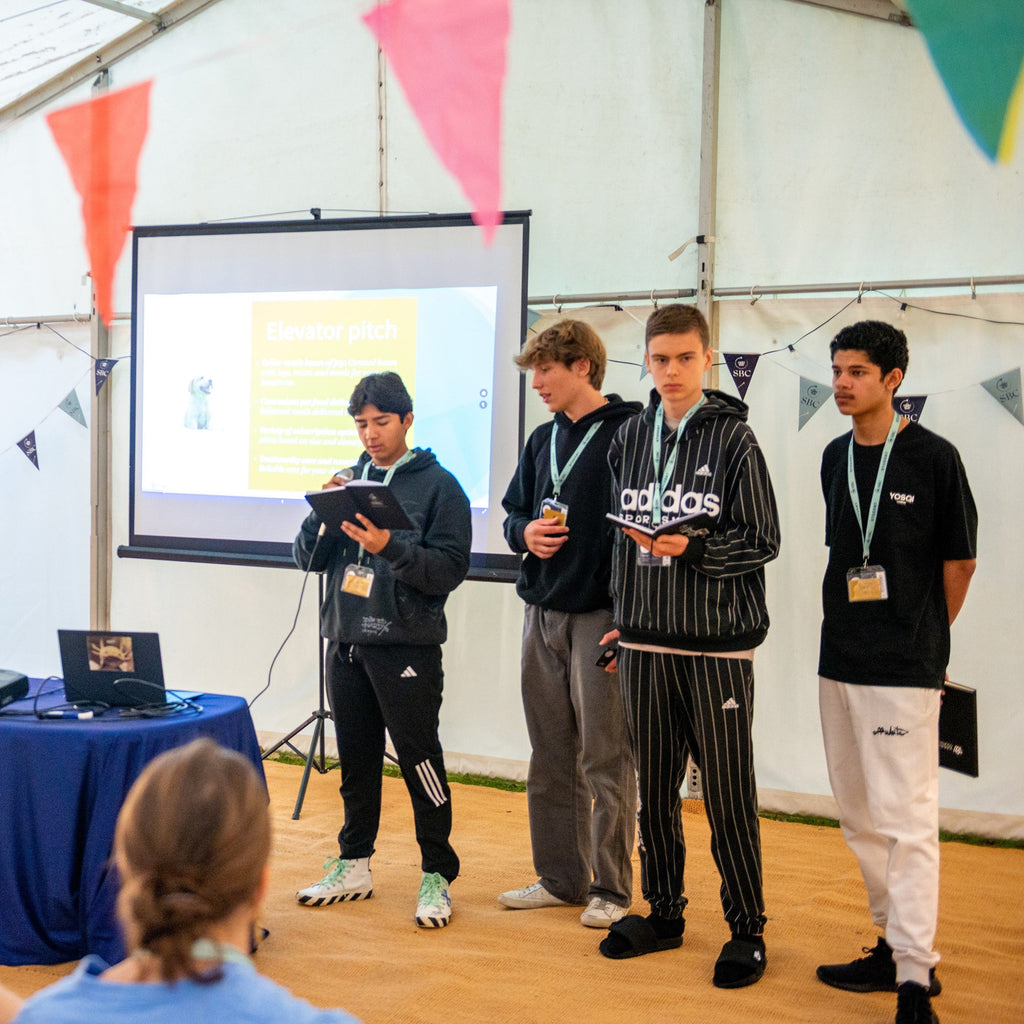 Tabara business 15-17 ani, Oxford University, Anglia, IVI Romania 8