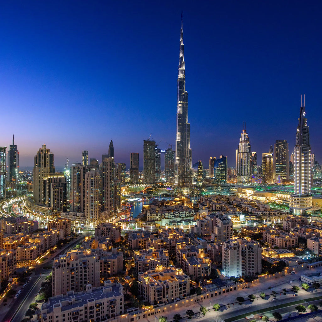 Tabara business 16-18 ani, Dubai. IVI Romania 1