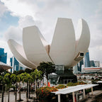 Tabara business 16-18 ani, Singapore, IVI Romania 13